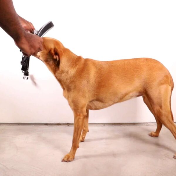 Zee.Dog Pettorina Norvegese Softer-Walk per Cani Fly H3D