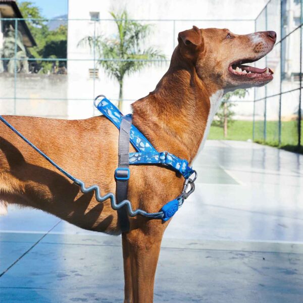 Zee.Dog Pettorina Norvegese Softer-Walk per Cani Fly H3D
