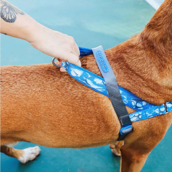 Zee.Dog Pettorina Norvegese Softer-Walk per Cani Fly H3D
