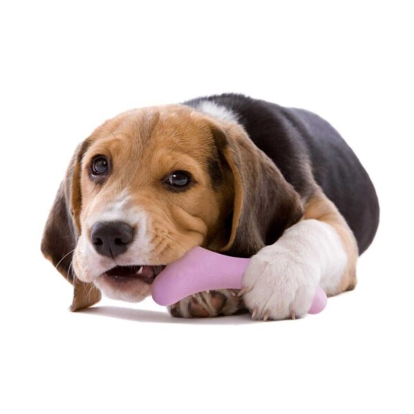 United Pets® Gioco da Masticazione Aromatizzato per Cani Gustosso