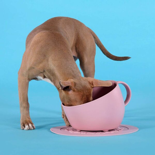 Ciotola per Cani CUP & PLATE in Polipropilene Rosa Antico