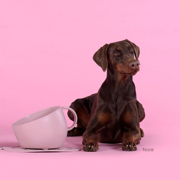 Ciotola per Cani CUP & PLATE in Polipropilene Rosa Antico