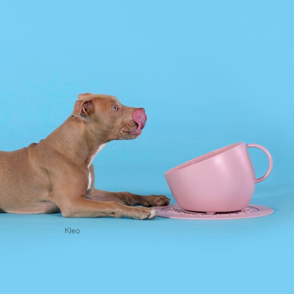 Ciotola per Cani CUP & PLATE in Polipropilene Rosa Antico