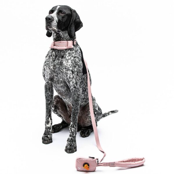 United Pets® Collare per Cani con Sottocollo Imbottito Linea CityLife Rosa