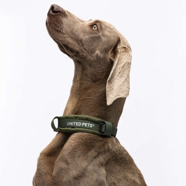United Pets® Collare per Cani con Sottocollo Imbottito Linea CityLife Verde Militare