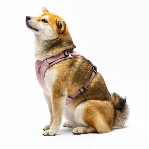 United Pets® Pettorina H per Cani Imbottita Linea CityLife Rosa
