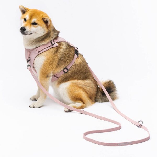 United Pets® Pettorina H per Cani Imbottita Linea CityLife Rosa