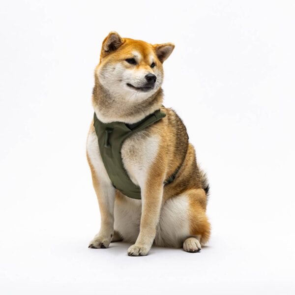 United Pets® Pettorina H per Cani Imbottita Linea CityLife Verde Militare