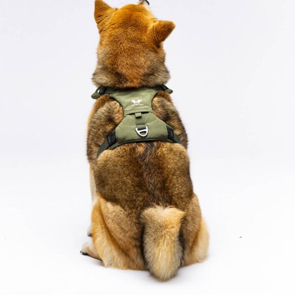 United Pets® Pettorina H per Cani Imbottita Linea CityLife Verde Militare