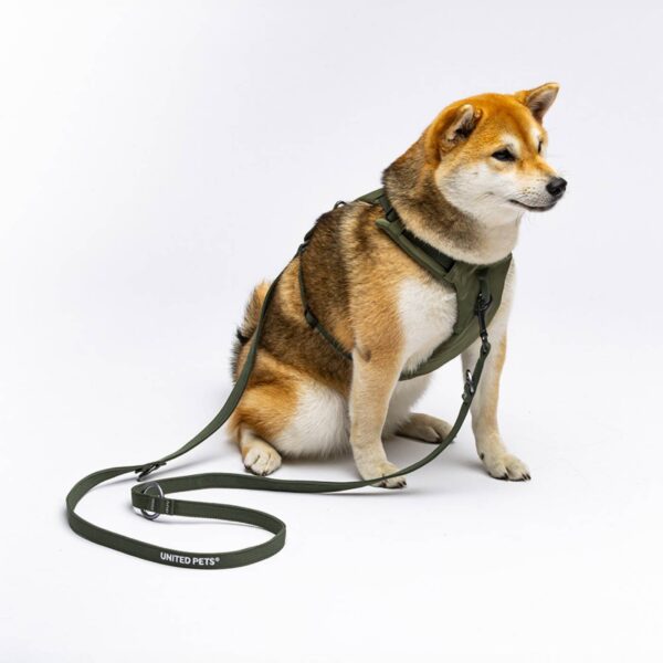 United Pets® Pettorina H per Cani Imbottita Linea CityLife Verde Militare