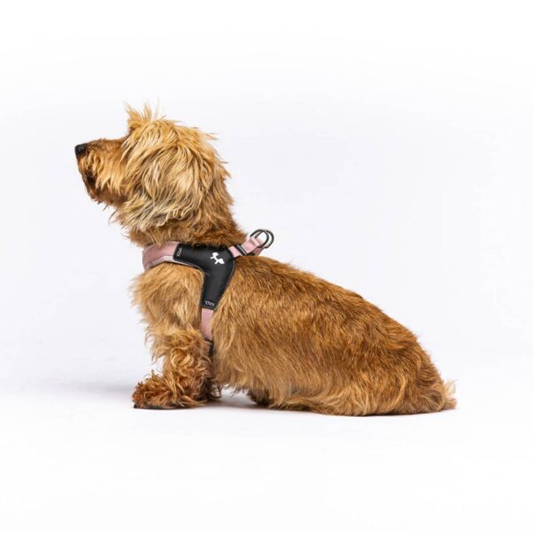 United Pets® Pettorina per Cani Aggancio Rapido Linea CityLife Rosa