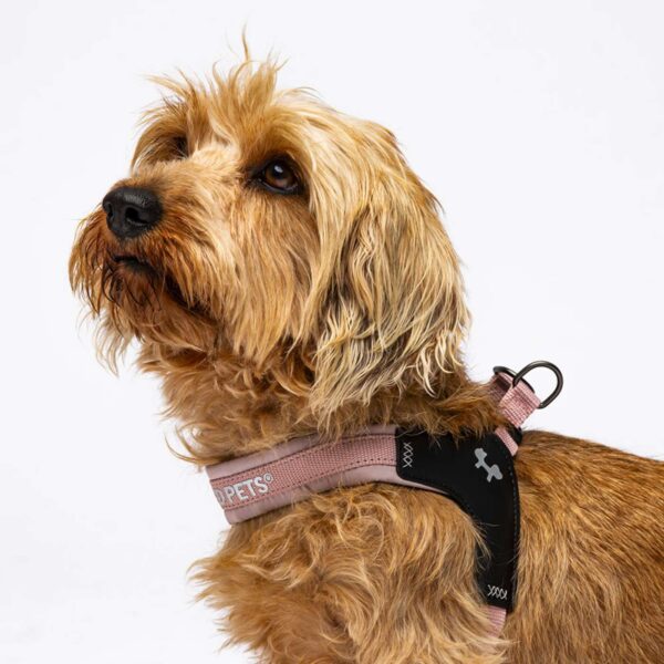 United Pets® Pettorina per Cani Aggancio Rapido Linea CityLife Rosa
