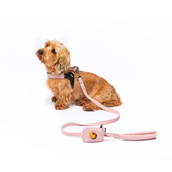 United Pets® Pettorina per Cani Aggancio Rapido Linea CityLife Rosa