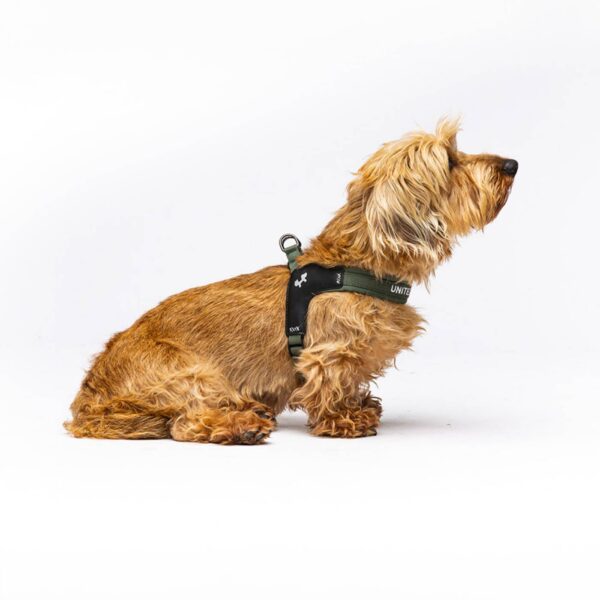 United Pets® Pettorina per Cani Aggancio Rapido Linea CityLife Verde Militare
