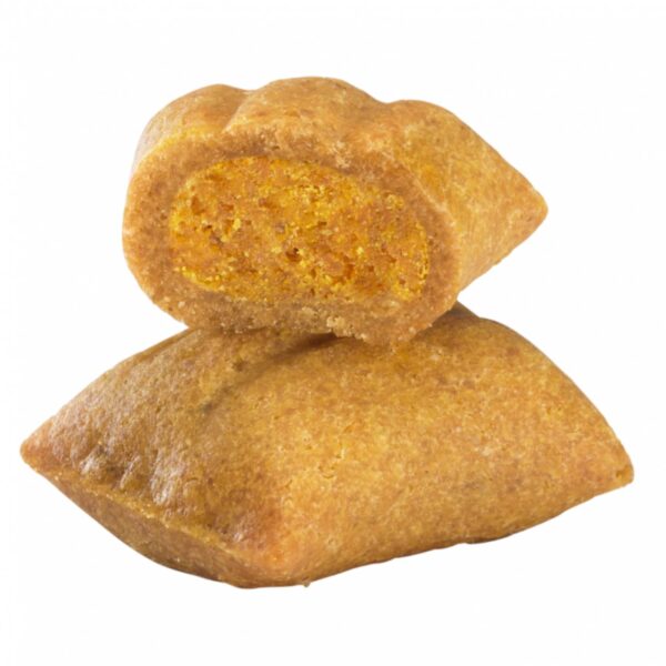 DoggyeBag® Doggyebreak con Salmone Zucca e Carote per Cani