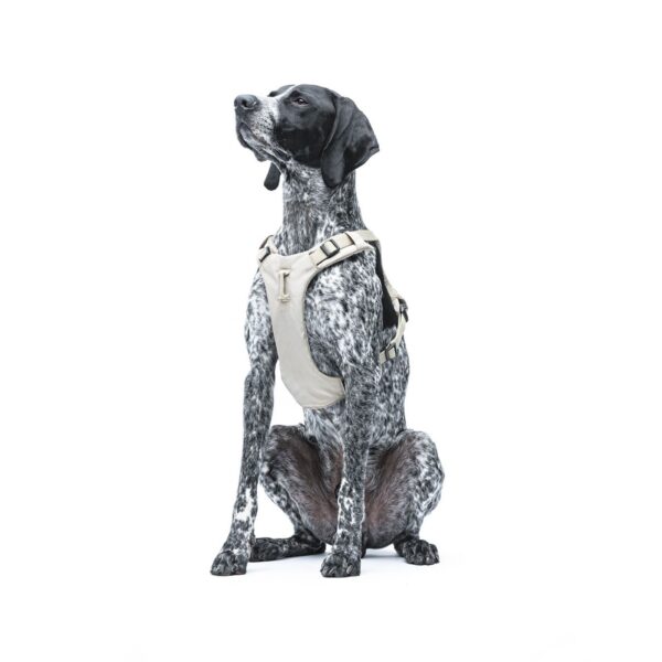 United Pets® Pettorina H per Cani Imbottita Linea CityLife Beige