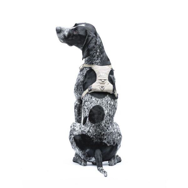 United Pets® Pettorina H per Cani Imbottita Linea CityLife Beige