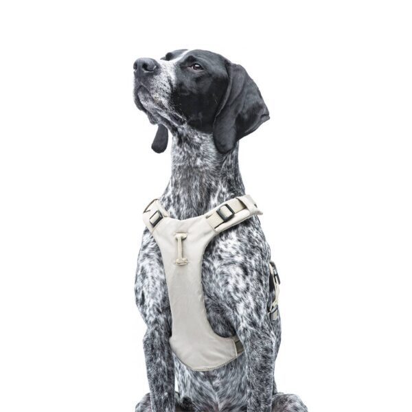 United Pets® Pettorina H per Cani Imbottita Linea CityLife Beige