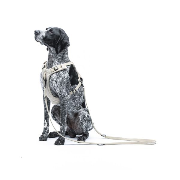 United Pets® Pettorina H per Cani Imbottita Linea CityLife Beige
