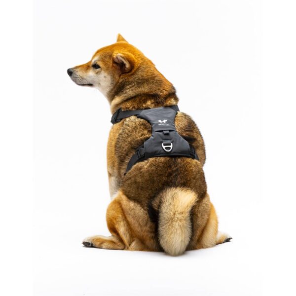 United Pets® Pettorina H per Cani Imbottita Linea CityLife Grigio Antracite