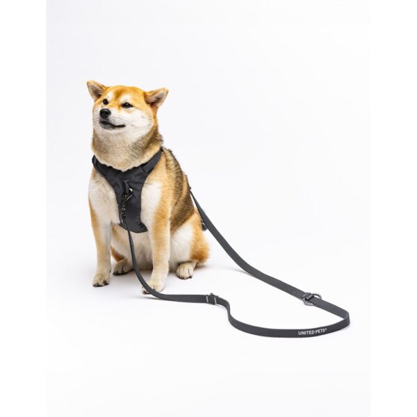 United Pets® Pettorina H per Cani Imbottita Linea CityLife Grigio Antracite