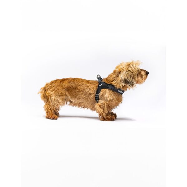 United Pets® Pettorina per Cani Aggancio Rapido Linea CityLife Grigio Antracite