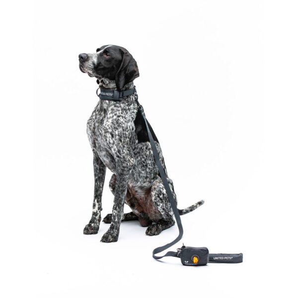 United Pets® Portasacchetti Igienici per Cani Linea CityLife con Ricarica Grigio Antracite