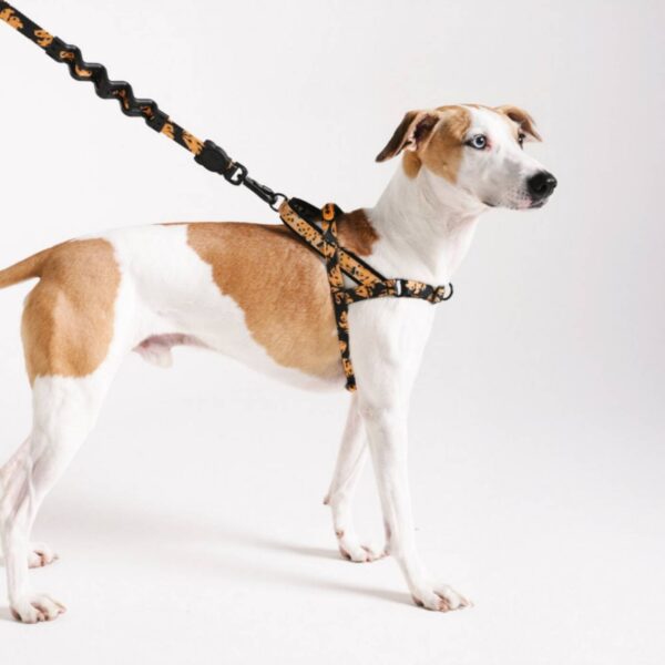 Zee.Dog Guinzaglio Ammortizzato per Cani Farm Rio Bossa Banana