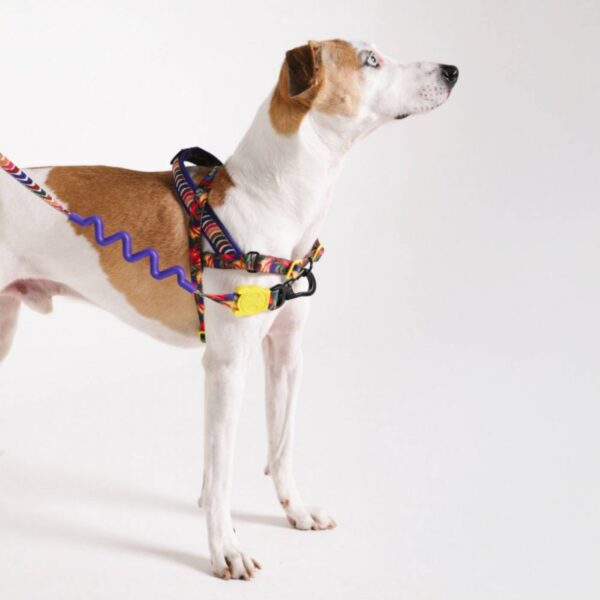 Zee.Dog Pettorina Norvegese Softer-Walk per Cani Farm Rio Samba
