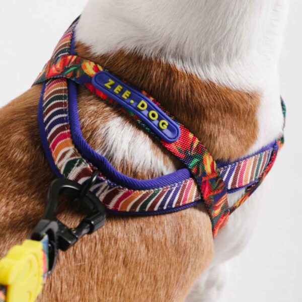 Zee.Dog Pettorina Norvegese Softer-Walk per Cani Farm Rio Samba