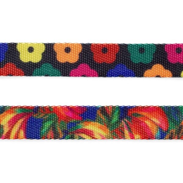 Zee.Cat Collare per Gatti Regolabile Farm Rio Samba 20 - 30 cm