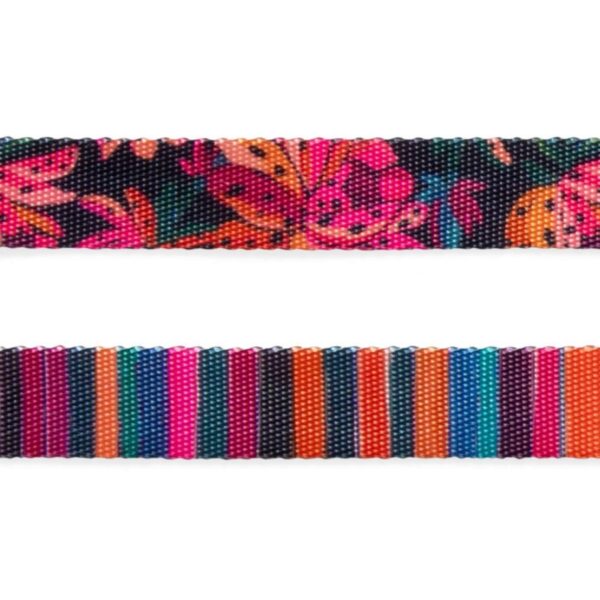 Zee.Cat Collare per Gatti Regolabile Farm Rio Selva 20 - 30 cm