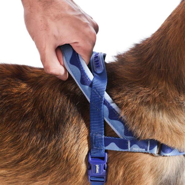 Zee.Dog Pettorina Norvegese Softer-Walk per Cani Swell