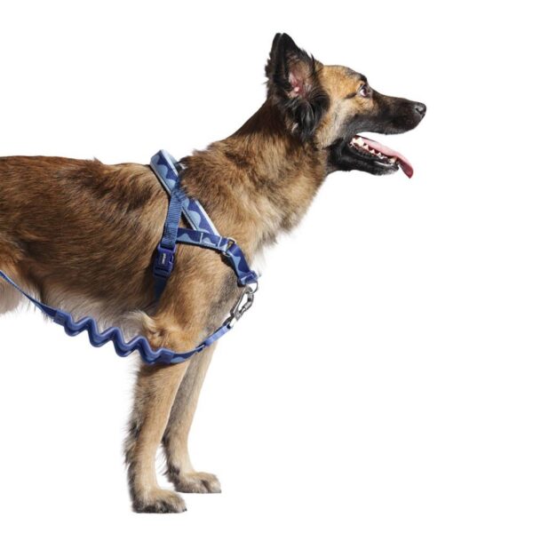 Zee.Dog Pettorina Norvegese Softer-Walk per Cani Swell