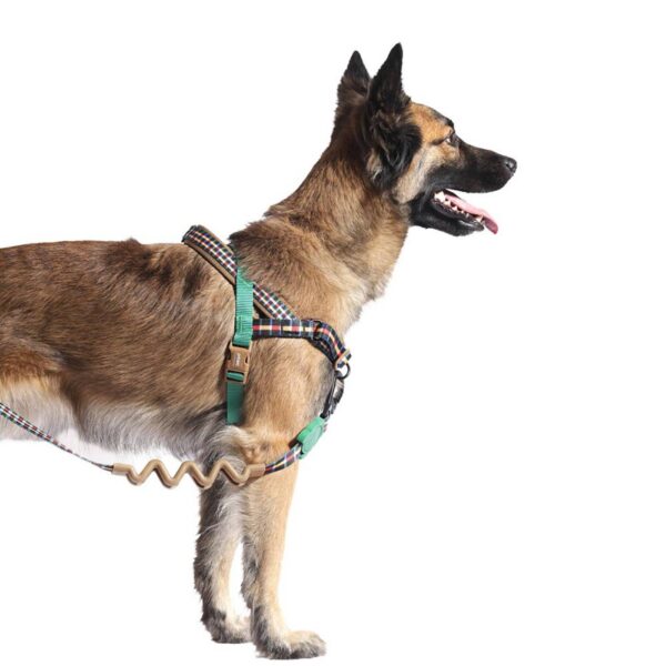 Zee.Dog Pettorina Norvegese Softer-Walk per Cani Travis