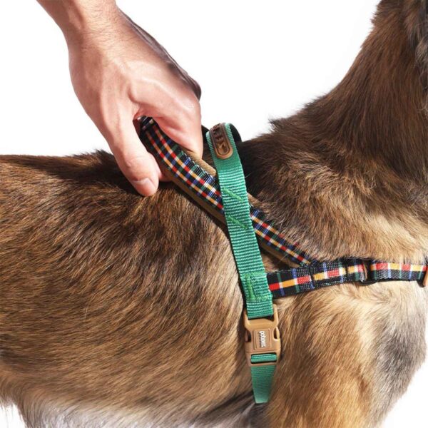 Zee.Dog Pettorina Norvegese Softer-Walk per Cani Travis