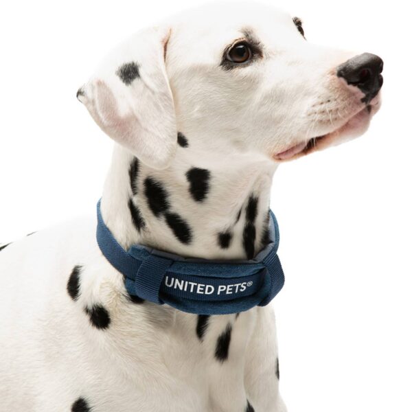 United Pets Collare per Cani con Sottocollo Imbottito Linea CityLife Blue Jeans