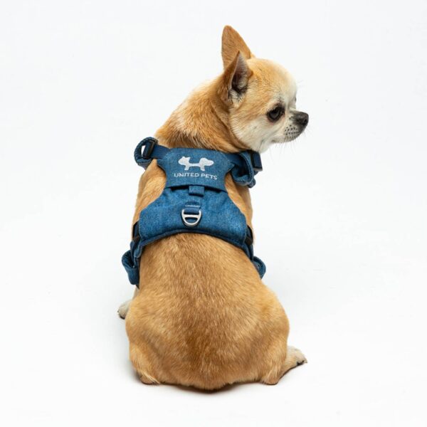 United Pets Pettorina H per Cani Imbottita Linea CityLife Blue Jeans