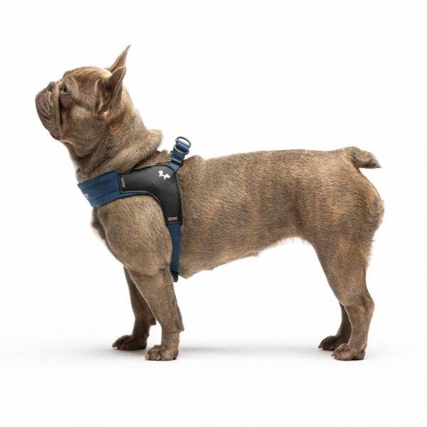United Pets Pettorina per Cani Aggancio Rapido Linea CityLife Blue Jeans