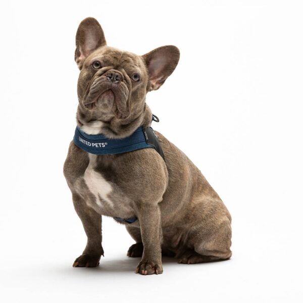 17United Pets Pettorina per Cani Aggancio Rapido Linea CityLife Blue Jeans
