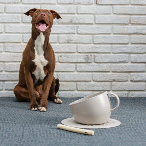 united pets set ciotola e sotto ciotola per cani cup & plate in polipropilene tortora
