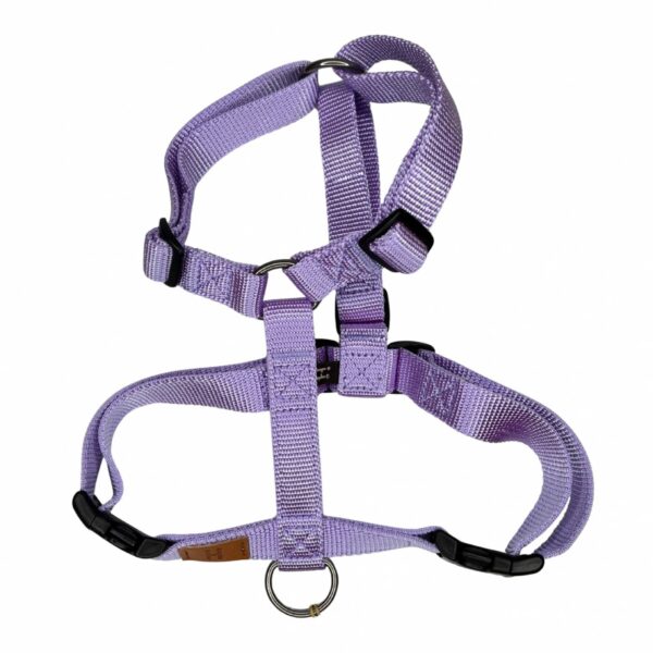 Haqihana Pettorina ad H per Cani Lavanda in Nylon