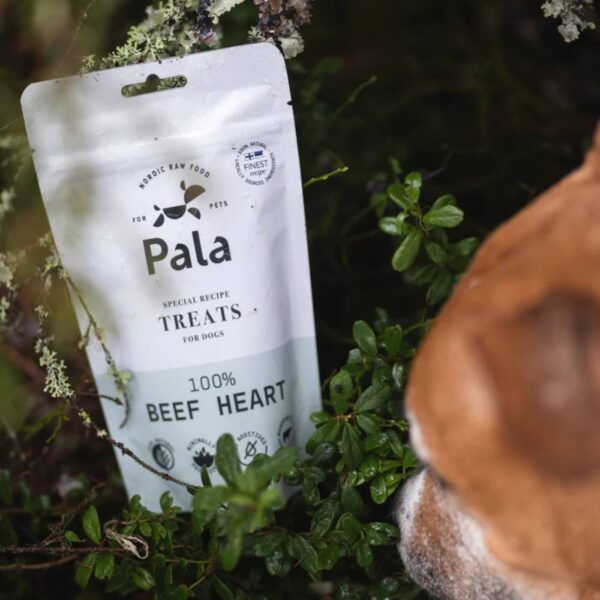 Pala Snack per Cani 100% Cuore di Manzo Monoproteici 100 g