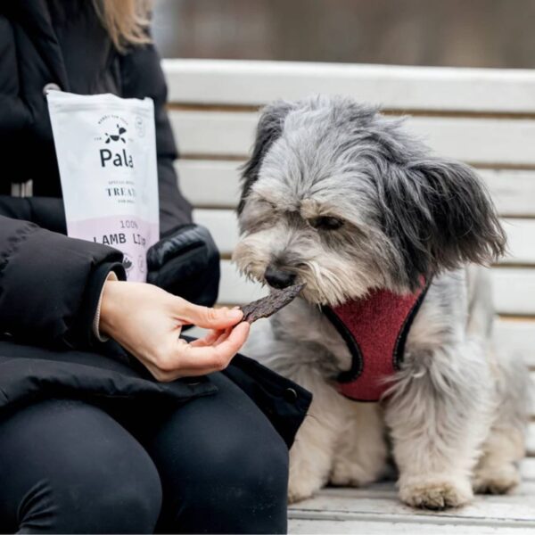 Pala Snack per Cani 100% Fegato di Agnello Monoproteici 100 g