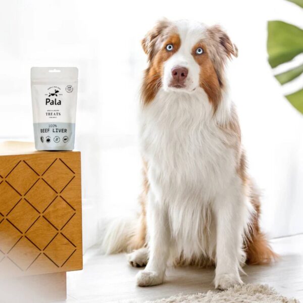 Pala Snack per Cani 100% Fegato di Manzo Monoproteici 100 g