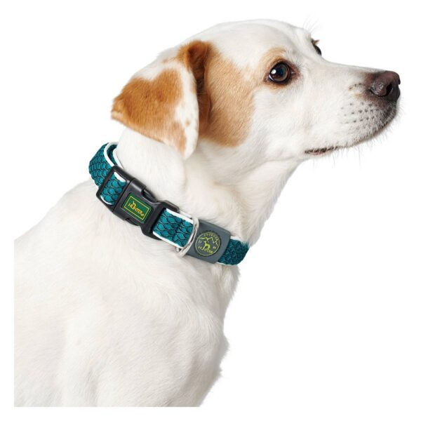 Hunter Collare per Cani Regolabile Hilo Vario Turchese Riflettente