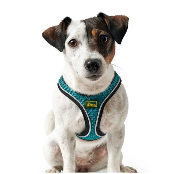 Hunter Pettorina per Cani Hilo Comfort Turchese Riflettente