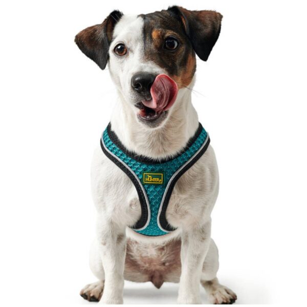 Hunter Pettorina per Cani Hilo Comfort Turchese Riflettente