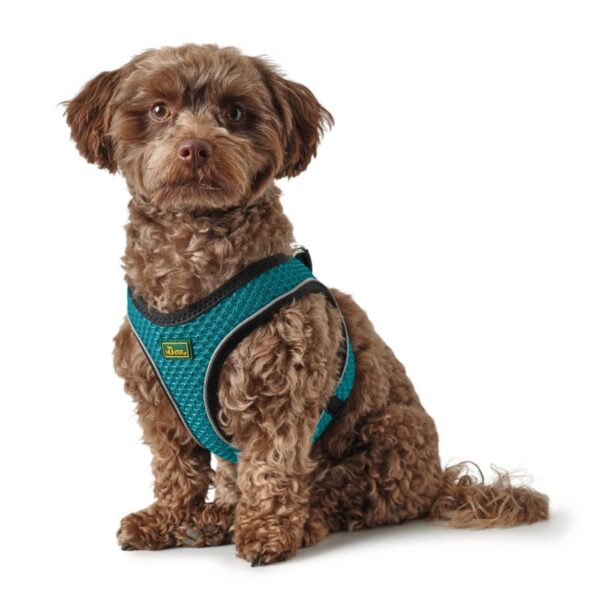 Hunter Pettorina per Cani Hilo Comfort Turchese Riflettente