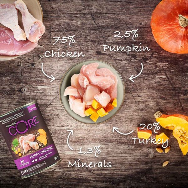 Wellness Core Puppy Original per Cuccioli Pollo con Tacchino con Zucca 400 gr Cibo Umido per Cuccioli